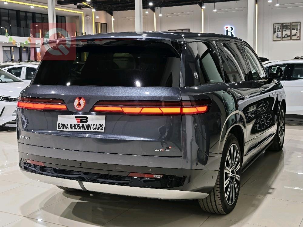 دينزا N9